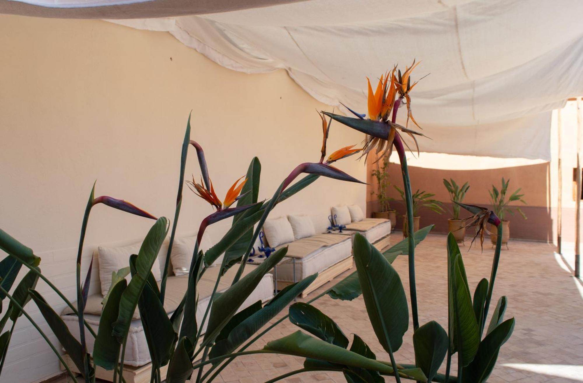 Ferme D'Hote Zomorroda Marrakesh Buitenkant foto