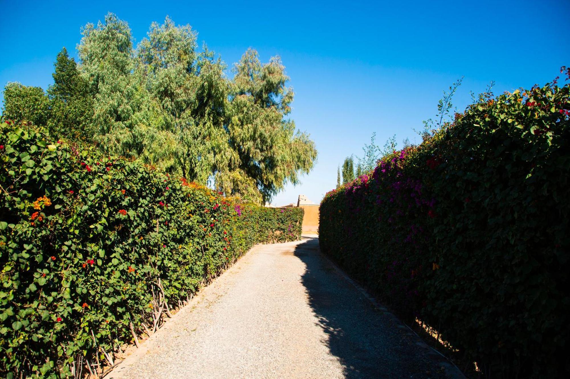 Ferme D'Hote Zomorroda Marrakesh Buitenkant foto